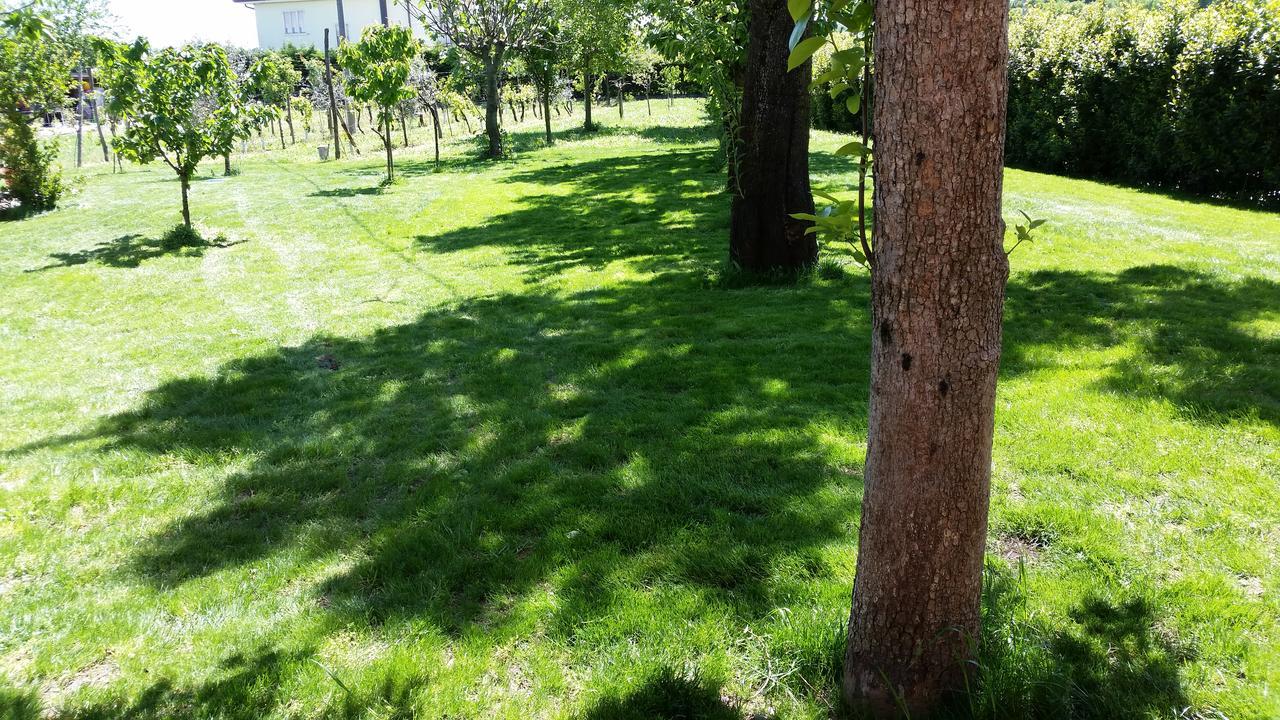 Maison La Coccola Bed & Breakfast