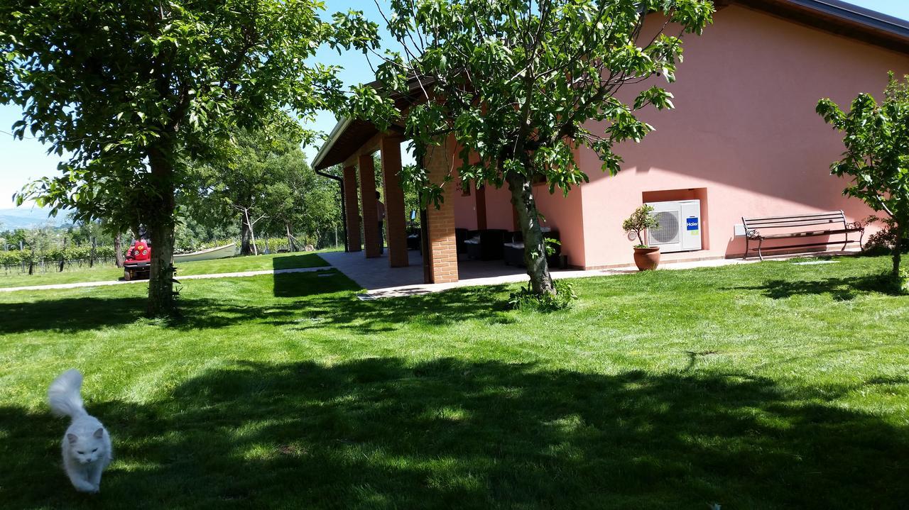 Maison La Coccola *